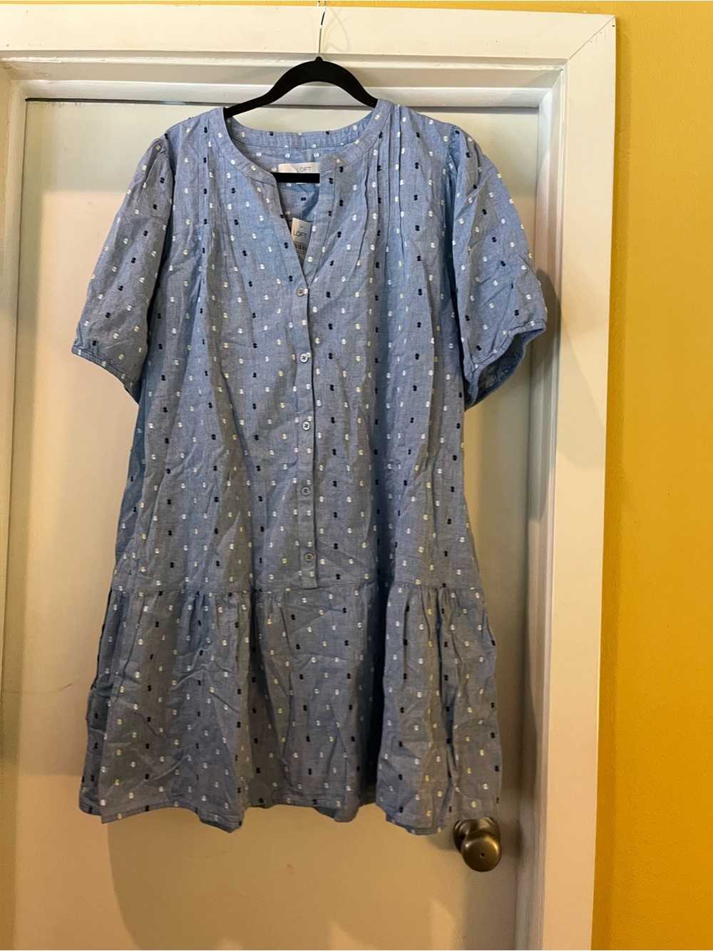 Light Blue Button-Front Dot Print Tunic Dress